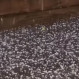 Videos: Inusual temporal de granizo impactó a Santiago
