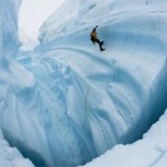 Estrenos de National Geographic: El Hielo Perdido y El líder de la Manada