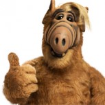 Vuelve Alf: A 28 años del último episodio, relanzarán la serie sobre el genial extraterrestre peludo