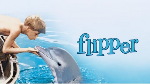 El triste final de "Kathy", el delfín que representó a "Flipper" en la famosa serie.