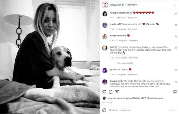 Un año después, la actriz volvió a compartir una imagen junto al can para recordarlo / www.instagram.com/kaleycuoco