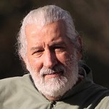 ¿Qué nos revela el Tarot sobre el candidato presidencial Alfredo Sfeir?