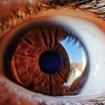 Científicos de EE.UU. crean lentes de contacto robóticos que permiten hacer zoom con sólo parpadear
