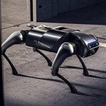 Un perro y un increíble camaleón: Los nuevos robots que acaparan las miradas
