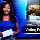 Al diablo, renuncio: Presentadora dimite en vivo para dedicarse a defensa de la marihuana