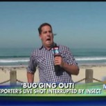 Periodista muestra su lado menos valiente en pantalla a causa de un insecto