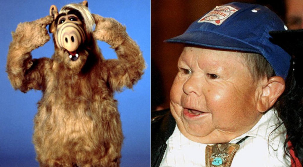 alf-michu-3