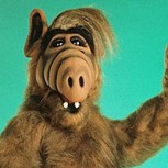 Michu, la poco conocida historia del húngaro de 83 centímetros que dio vida a ALF