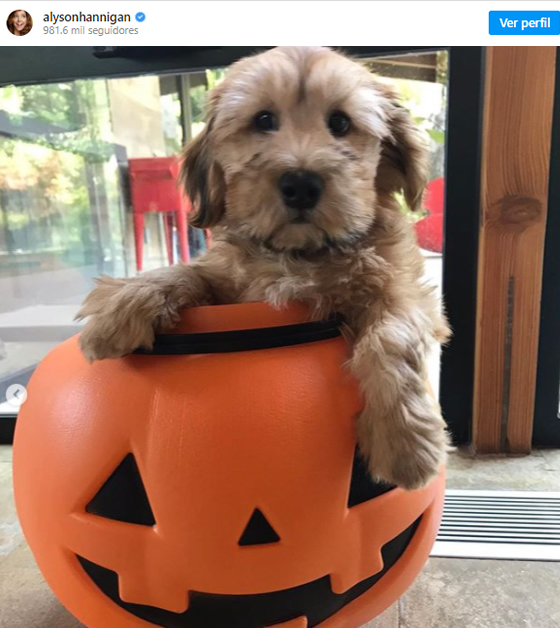 actriz-de-buffy-la-cazavampiros-uso-decoraciones-de-la-serie-para-decorar-su-casa-en-halloween-4