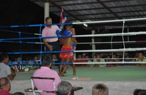 "Pampers" y "Huggies" luchan en el ring.