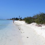 Viaje a Aruba: ¿Cuáles son las mejores alternativas de alojamiento?