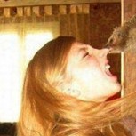 10 impactantes ataques de animales: De la ternura al enojo en un click