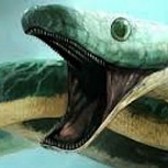 Gigantesca criatura marina en Estados Unidos: Impacto por hallazgo