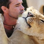Video: Increíble cercanía y amistad entre un hombre y leones en África