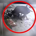 Vaca arremete contra hombre que intentaba violar a su dueña: Impactante video