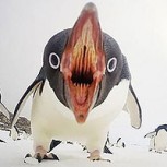 Viral muestra la desesperación de un pingüino amenazado por desprendimiento de hielo