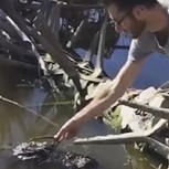 ¿Humor inofensivo o simplemente estupidez? Este hombre arriesga todo ante un cocodrilo