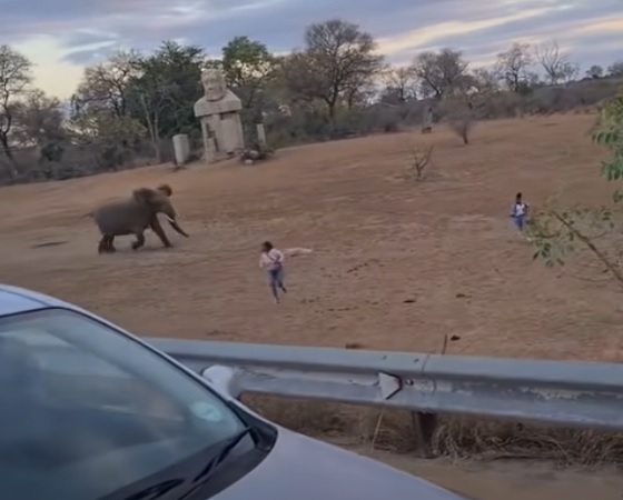Dos mujeres escapando de un elefante.
