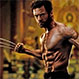 ¿Wolverine reencarnado en una oruga? Video viralizado en redes muestra su particular defensa