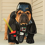 The Bark Side, imperdibles ladridos de Star Wars