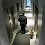 Impactante video de un hombre, su perro y un ascensor