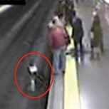 Impactante! Mujer cae y casi es arrollada por el Metro