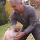 El “encantador de perros” fue mordido ferozmente