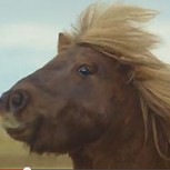 El baile del Pony, sorprendente ritmo que es un gran viral