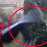 ¿Cómo destapar una cerveza de chilena? Video es furor y suma miles de visitas
