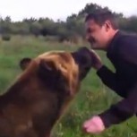 Oso entrenado: Las increíbles piruetas y gracias de animal en Rusia