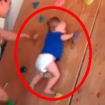 Video: Bebé de 20 meses escala pared como un campeón