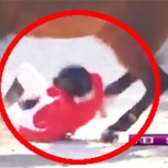 Jinete chileno protagoniza impactante caída en Mundial de Salto