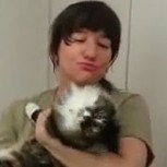 Así son los gatos: Su “cálido” reencuentro con sus dueños
