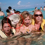 Ese preciso momento en que un animal se cruza en tu foto: Para reírse con ganas