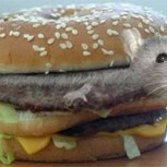 Clausuran local de famosa cadena de comida rápida por encontrar cabeza de rata en hamburguesa