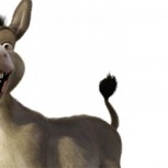 El burro que se salvó de morir ahogado y agradeció con una sonrisa: Emotivo rescate