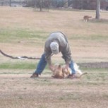 El ingenioso perro que se hace el muerto para no irse del parque