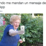 ¿Cómo usas Whatsapp? Estos graciosos memes te lo grafican