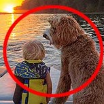 La emocionante amistad de un niño y su perro: Te conmoverás hasta las lágrimas