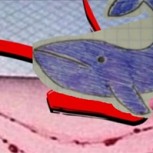 El juego de la Ballena Azul: El siniestro viral que causa terror a nivel mundial