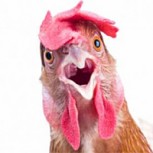“El señor de las gallinas”: Nunca viste a alguien llamar con tanta efectividad a estas aves