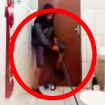 Cacería de un ratón se convirtió en un hilarante desastre: Éxito viral