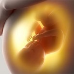 Este video con los movimientos de un bebé en el vientre es lo más impresionante que verás hoy