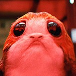 Los Porgs de Star Wars interpretan su icónico tema central: Te harán el día o los odiarás