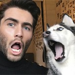 Amos y mascotas se copian sus expresiones y es un éxito en las redes: Tendencia viral