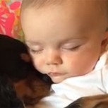 Alerta de ternura extrema: Video muestra el amor y cariño de un bebé y su cachorro