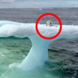 Increíble hallazgo de pescadores: Una historia de sobrevivencia que está dando la vuelta al mundo