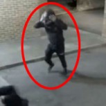 Ladrón noquea a su compañero de un ladrillazo: “El golpe del siglo”