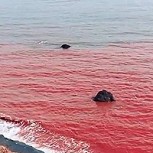 El extraño fenómeno de la “marea de sangre”: ¿Cuál es su explicación?