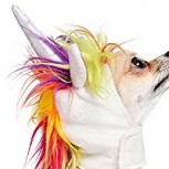 Conoce al cachorro bautizado como el “perro unicornio”: Averigüa por qué